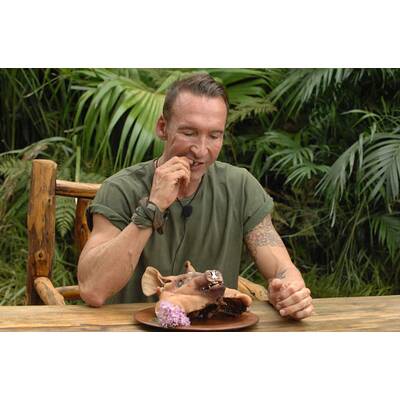 Tag 16 im Dschungelcamp