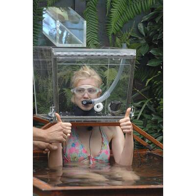 Tag 16 im Dschungelcamp