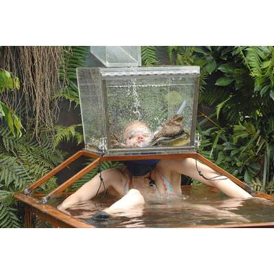 Tag 16 im Dschungelcamp