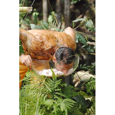 Tag 1 im Dschungelcamp