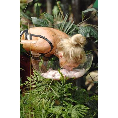 Tag 1 im Dschungelcamp