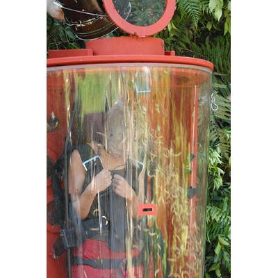 Tag 3 im Dschungelcamp