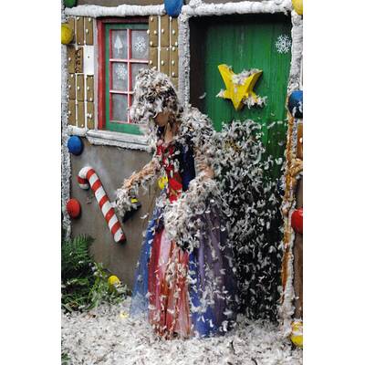 Tag 8 im Dschungelcamp