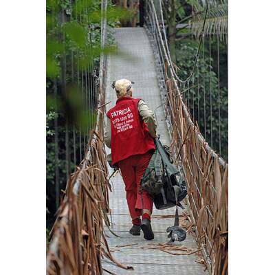 Dschungelcamp: Der neunte Tag