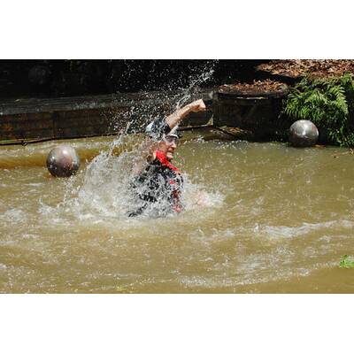 Tag 14 im Dschungelcamp