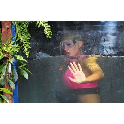 Tag 1 im Dschungelcamp