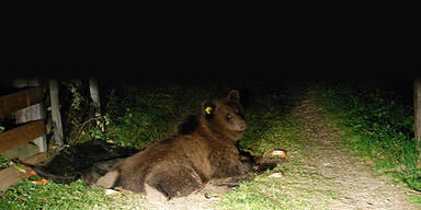 M13 erschreckt Mädchen fast zu Tode