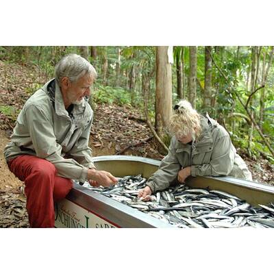 Tag 6 im Dschungelcamp