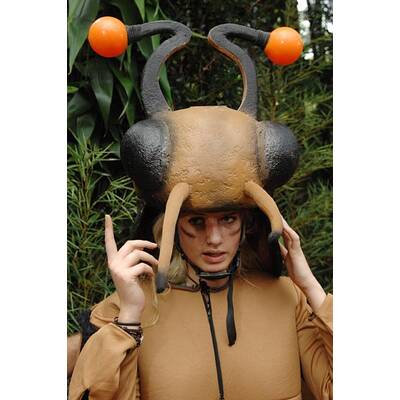 Tag 6 im Dschungelcamp