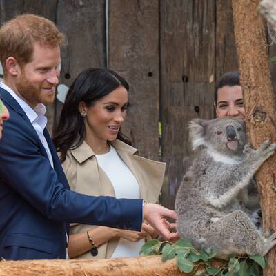 Meghan und Harry sind verlobt!