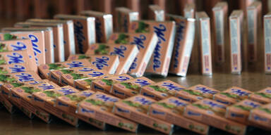 Rekord: 8.500 rosa Schnitten im Rathaus