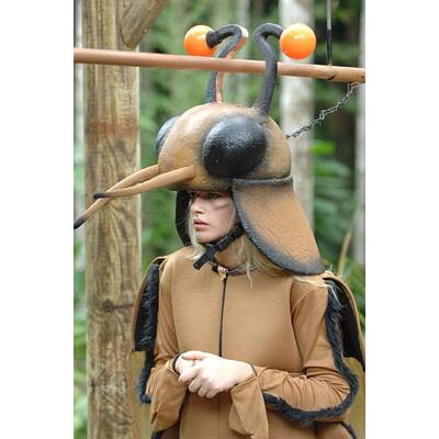 Tag 6 im Dschungelcamp