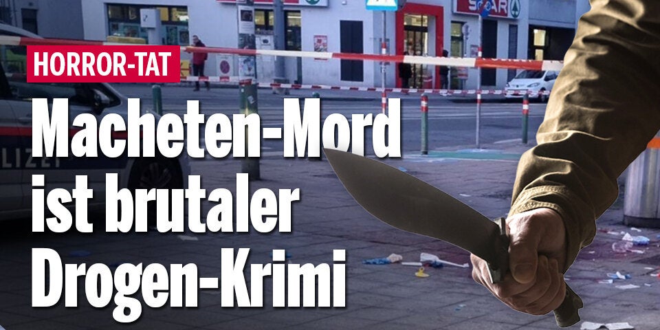 oe24 berichtete von Anfang an über alle Hintergründe des brutalen Angriffs auf einen Algerier bei der U-Bahn-Station Jägerstraße. 