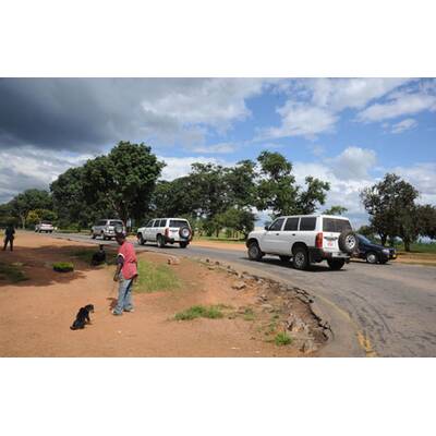 Neue Adoption: Madonna in Afrika