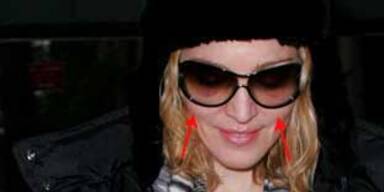 madonna veilchen NEU