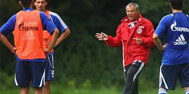 magath schalke