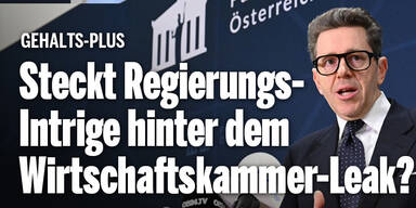 Steckt Regierungs-Intrige hinter Wirtschaftskammer-Leak?