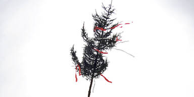 Maibaum-Kraxler st&uuml;rzen 10 Meter ab