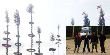 12 Maibäume in OÖ gestohlen
