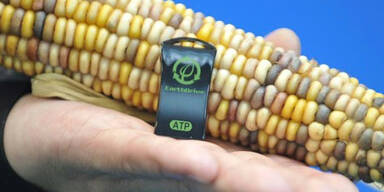 Die skurrilsten Neuheiten der CeBIT