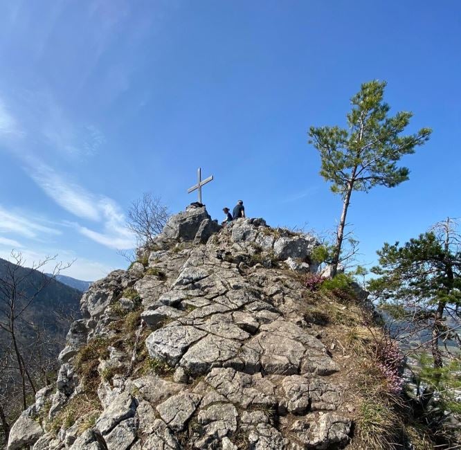 Todessturz maisenkögerl