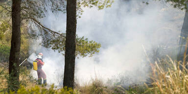 Das ist der Feuerteufel von Mallorca