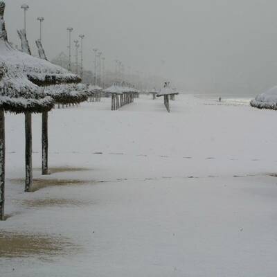 Schneefall im Februar 2012