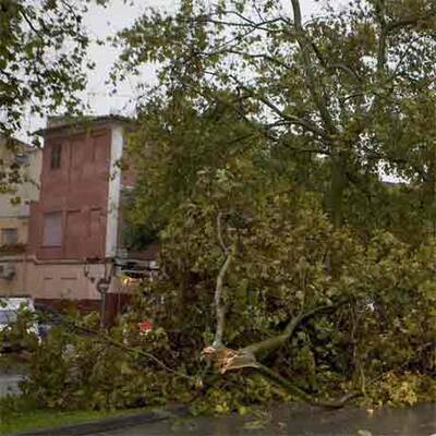 Unwetter auf Mallorca