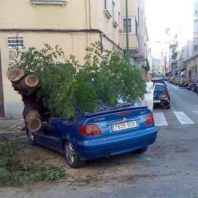 Unwetter auf Mallorca