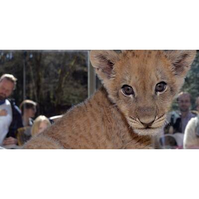 Hunderte machten beim World Naked Bike Ride in Melbourne mit