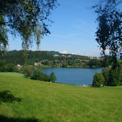 30. Alte Donau, Wien: 22°