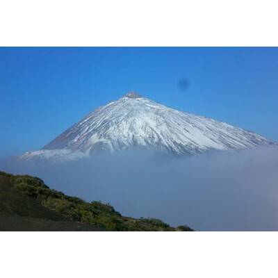 Die neuesten Urlaubsfotos