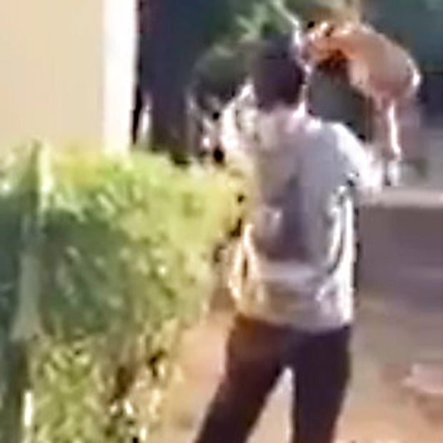 VIDEO: Mann erschlägt Hund und isst ihn