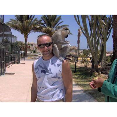 Alle lustigen Urlaubsfotos