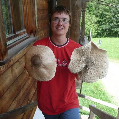 Die schönsten Urlaubsfotos