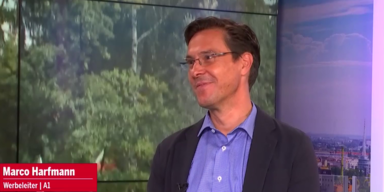 Marco Harfmann