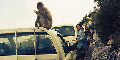 Marco & Maria auf Liebesurlaub