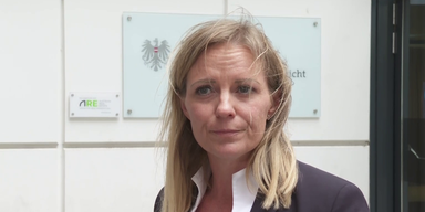 maria g anwa&auml;ltjin.png