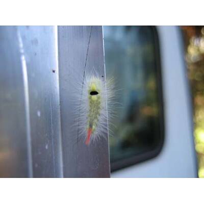 Die neuesten Urlaubsfotos