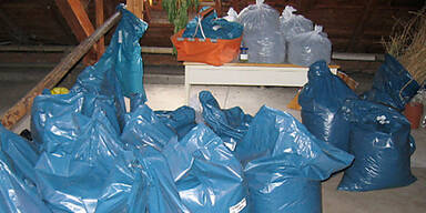 Hanfzüchter mit 78 Kilo Marihuana gefasst