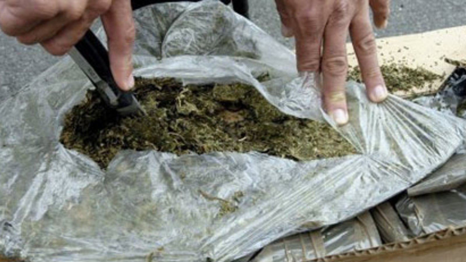 Mega Drogenfund In Tirol Oe24 At