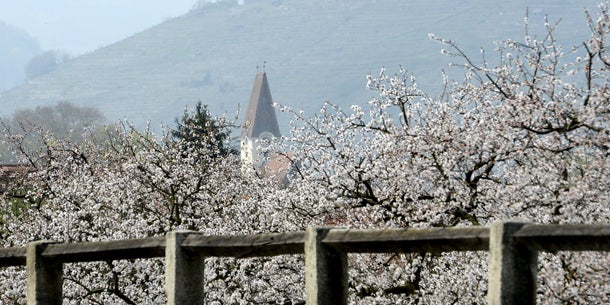 Am Freitag öffnen die Freibäder