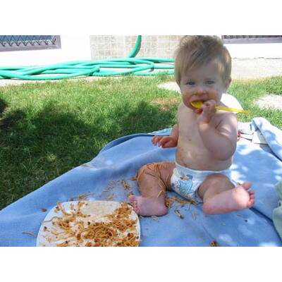 Die neuesten Urlaubsfotos