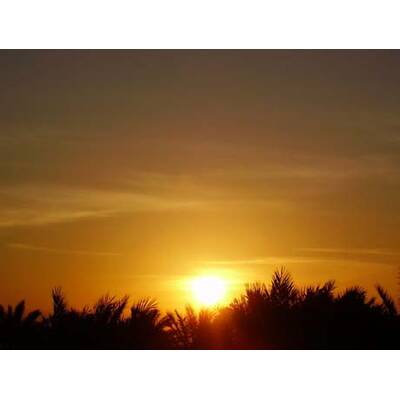 Die romantischsten Fotos