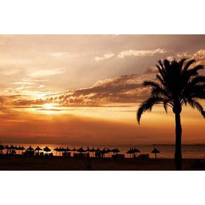 Die romantischsten Fotos