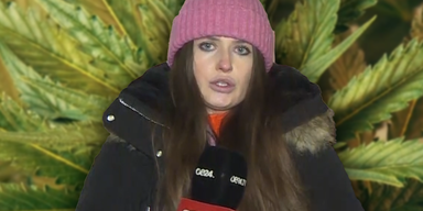 marlene cannabis.png