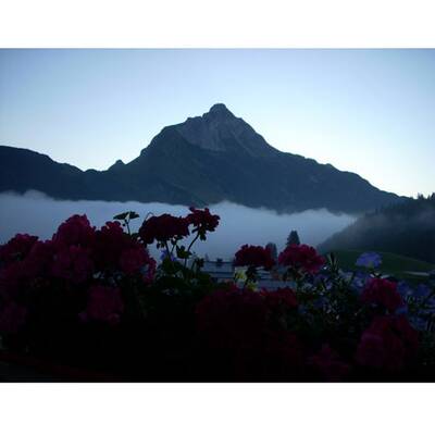 Die schönsten Urlaubsfotos