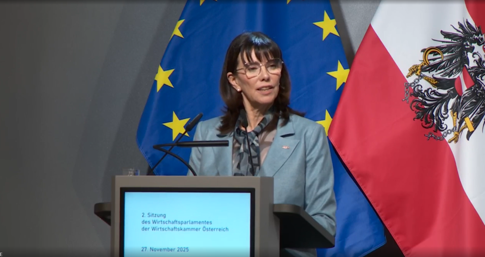Wirtschaftskammer Österreich: Interimspräsidentin Martha Schultz
