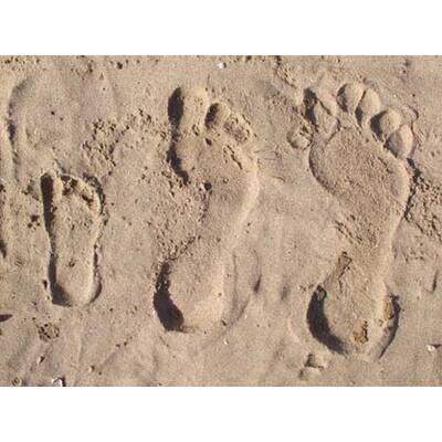 Alle lustigen Urlaubsfotos