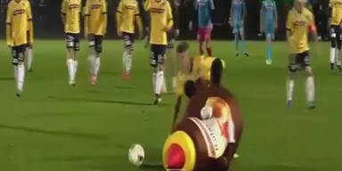 Kurios: Rot nach Foul an Maskottchen